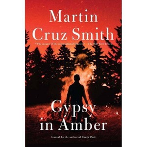 Gypsy in Amber - (Roman Grey Novels) by  Martin Cruz Smith (Paperback) - 1 of 1