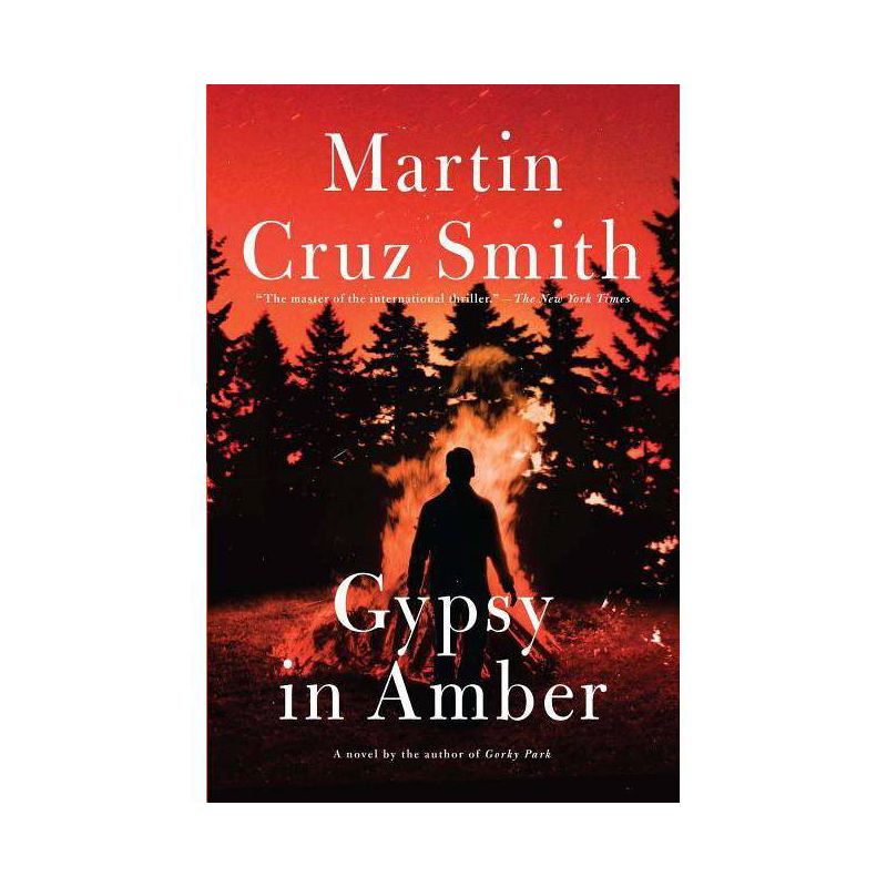 Gypsy in Amber - (Roman Grey Novels) by  Martin Cruz Smith (Paperback), 1 of 2