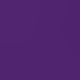 purple orchid