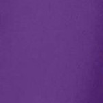 purple orchid