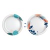 Dixie Everyday 10 1/16 Paper Plates - 86ct : Target