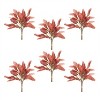 Fall Foliage Bundle (Set of 6) - 3 of 3