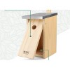 WILDLIFE FRIEND I Nesting Box with Metal Roof - Solid Wood for Blue Tits - 3 of 4