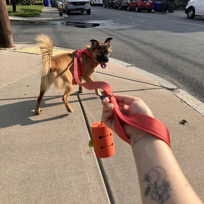 Backpack Dog Harness - S - Green - Boots & Barkley™ : Target