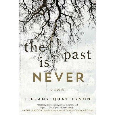 The Past Is Never - by  Tiffany Quay Tyson (Paperback)