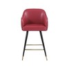 Meridian Furniture,Barbosa Red Vegan Leather Counter/Bar Stool, Set of 2 - 2 of 4