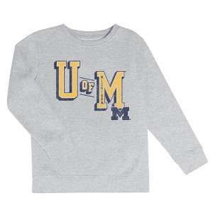 NCAA Michigan Wolverines Boys' Ash Crew Neck Fleece Sweatshirt