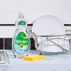 Palmolive Original Ultra Liquid Dish Soap Detergent - 46 Fl Oz : Target