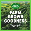Green Mountain Coffee Breakfast Blend Keurig K-Cup Coffee Pods - 4 of 4