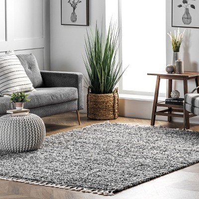 Contemporary Gray 4' x 6' Braided Shag Area Rug