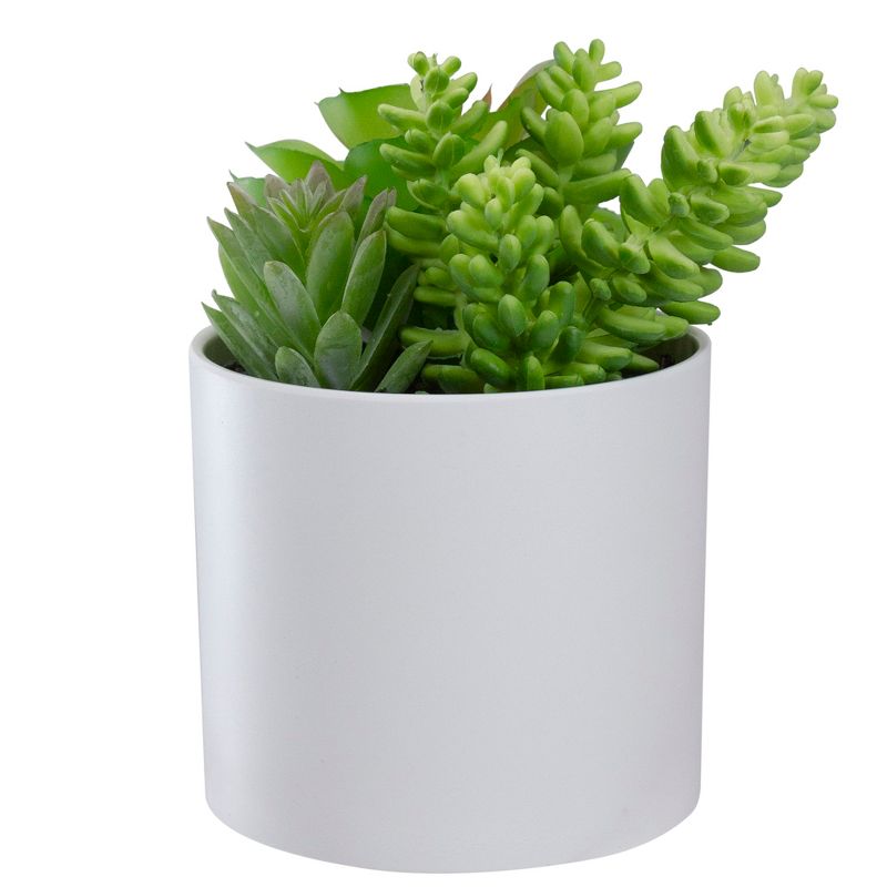 Northlight 5.5” Mixed Artificial Succulent Arrangement in a White Pot, 3 of 6