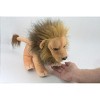 Collectible Wildlife Gifts | Male Lion, African lion, Very Nice Plush, Stuffed Animal, Realistic Figure,  16 - 2 of 4