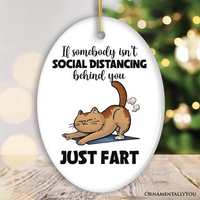 If Somebody Isn't Social Distancing Just Fart Quirky Cat, Cute and Funny Christmas Gift| OrnamentallyYou