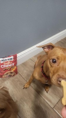 Guest review image 1 of 3, zoom in