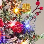 transparent lightbox