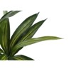 Syemin Artificial Plant Dracaena Tree Indoor Faux Fake Floor Greenery Potted Real Touch Decorative Black Pot, Green, 23.5"*23.5"*51.25" - 4 of 4