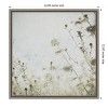 Amanti Art Wild Flowers II No Texture by Deborah Revell Framed Canvas Wall Art - 4 of 4