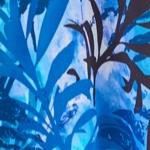 blue leafy palms