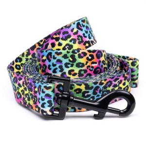 Country Brook Petz 4 Foot Dog Leash - Animal Prints Collection - 1 of 4