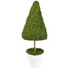 Northlight 20.5" Reindeer Moss Potted Artificial Spring Floral Topiary Tree - Green/White - 3 of 4