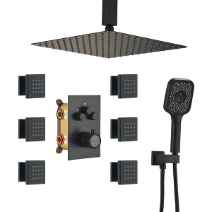 CASAINC 6-Spray 12 Inches Thermostatic Daul Shower Heads Ceiling Mount Fixed and Handheld Shower Head 2.5 GPM - 1 of 4