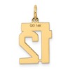 Black Bow Jewelry 14k Yellow Gold, Athletic Collection, Small Polished Number 12 Pendant - 3 of 4