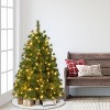 Puleo 4.5' Pre-Lit Artificial Vermont Pine Christmas Tree with 150 Dual Function LED Lights - 3 of 4