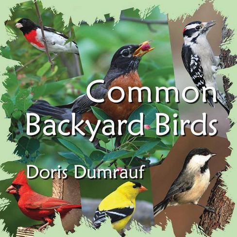 Common Backyard Birds By Doris Dumrauf Paperback Target