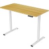 Electric Standing Desk Whole Piece Adjustable Height Desk Home Office Computer Workstation Sit Stand up Desk - 3 of 4