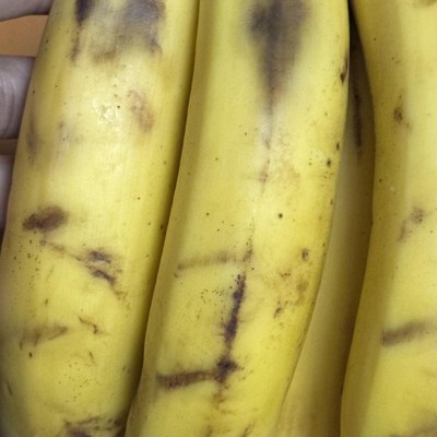 Wholegood Organic Bananas, 800g : Fruit & Veg fast delivery by App or Online