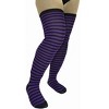 Large Sized Striped Patterned - Thigh High Socks - from the Sock Panda (Women's Sizes, Adult Medium) - 3 of 3
