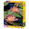Springbok Jigsaw Water Lilies Puzzle - 500pc - 2 of 4