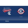 MLB Chicago Cubs 20oz Vintage Stainless Steel Tumbler - 2 of 3