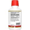 21st Century Glucosamine Chondroitin 3X, Liquid – Raspberry Flavor, 16 fl oz - 2 of 4