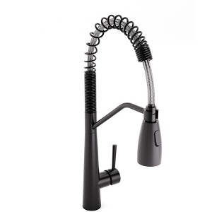 YAWWALK Single Handle Kitchen Faucet with Pull-Down Sprayer - High Arc Design - 1 of 1