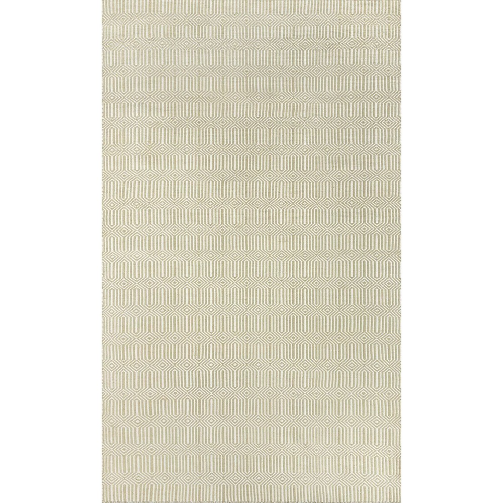 5'x7'6in Newton Holden Hand Woven Recycled Plastic Indoor/Outdoor Rug Green - Erin Gates by Momeni