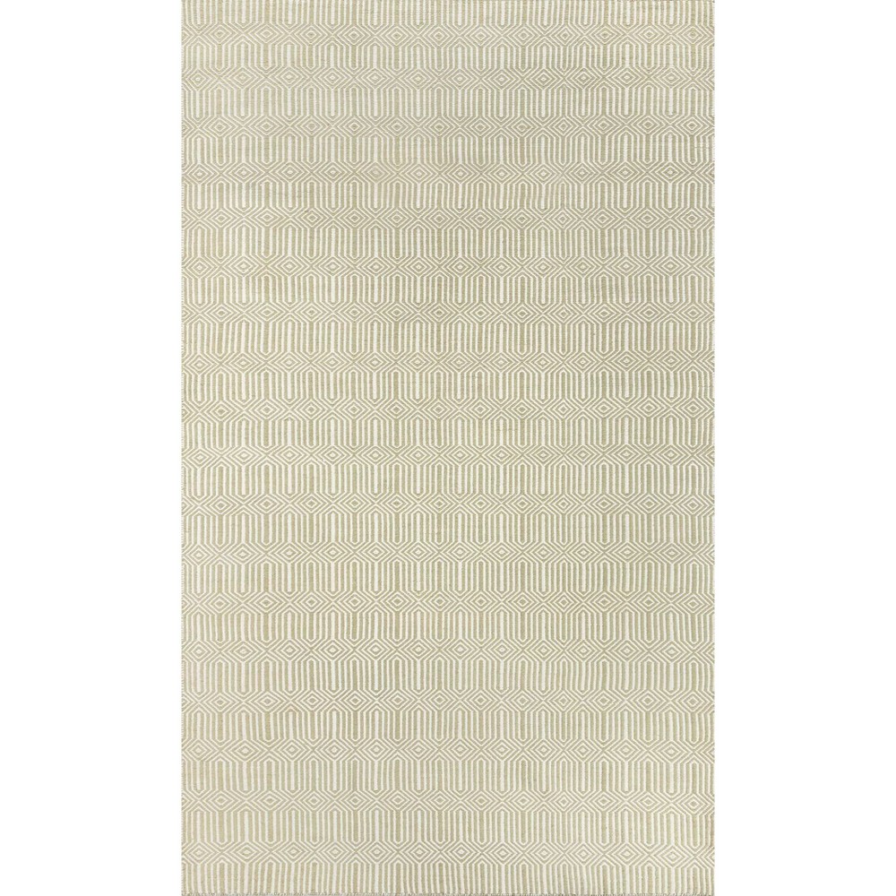 2'x3' Newton Holden Hand Woven Recycled Plastic Indoor/Outdoor Rug Green - Erin Gates by Momeni