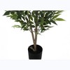 Vynxaria Artificial Plant, 47" Tall, Acacia Tree, Indoor, Faux, Fake, Floor, Greenery, Potted, Silk, Decorative, Green Leaves, Black Pot - 4 of 4