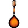 Mitchell AM100VS A-Style Mandolin Vintage Sunburst - 4 of 4
