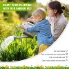 FDW Galvanized Garden Bed, Raised Garden Bed for Vegetables Flowers and Herbs Planter Boxes Raised Bed Kit with Metal Pole Reinforcement - 2 of 4