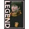 Boy's Harry Potter Gryffindor Legend Portrait T-Shirt - 2 of 4