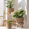 Seagrass Planter Basket Indoor, Flower Pots Cover, Plant Containers, Natural, 3-Pack - 2 of 4