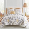 Reverie Euro Shams Set of 2 - Quilted - Levtex Home - image 3 of 3