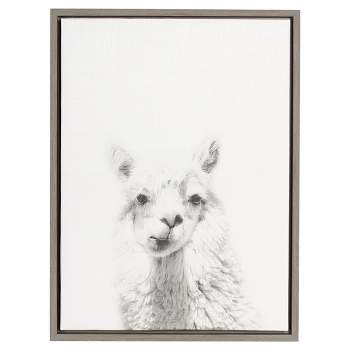 24" x 18" Alpaca Framed Canvas Art - Uniek