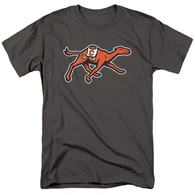 Men's Campbell University Official Distressed Primary Logo T-Shirt