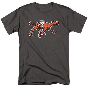 Men's Campbell University Official Distressed Primary Logo T-Shirt - 1 of 4