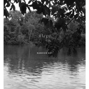 Dawoud Bey: Elegy - by  Valerie Cassel Oliver (Hardcover) - 1 of 1