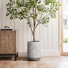 LuxenHome 16" H Concrete Tall Planter Large Outdoor Indoor Plant Pot with Drainage Hole and Plug Rustic Distressed Round Tapered Flower Pot Gray - 3 of 4