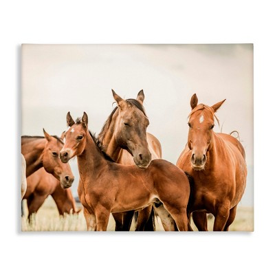 Stupell Industries Horse & Foals Photography, 20" x 16"