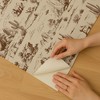 Veer Decor Area 51 Novelty Toile Peel and Stick Wallpaper - 3 of 4